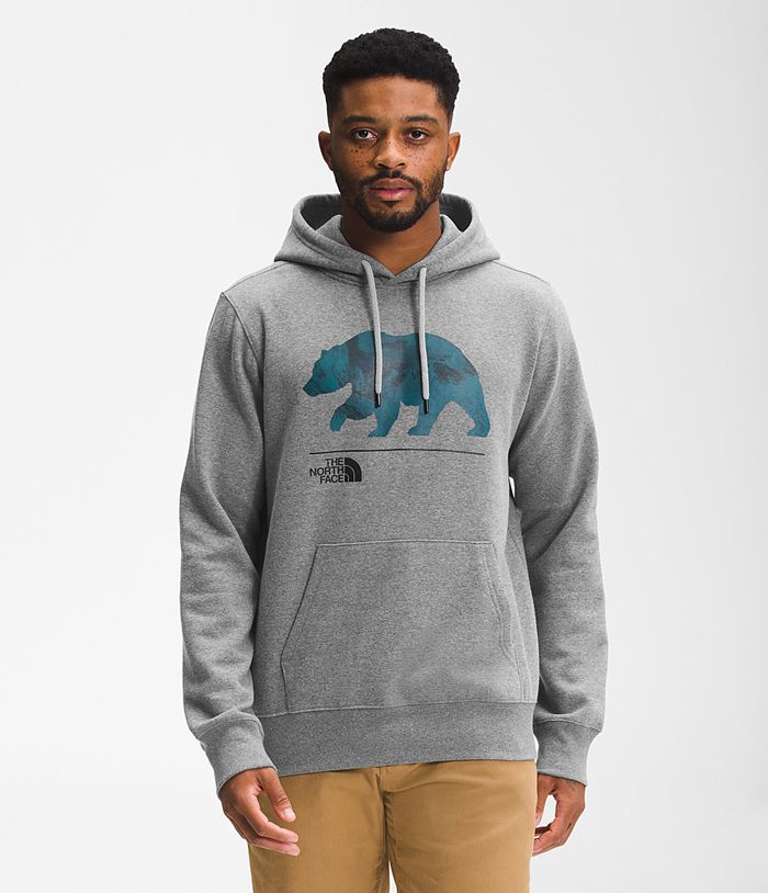 The North Face Bearscape Pullover Mens Hoodie Grey 493510-RLJ